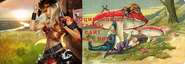 винт Арсеньев