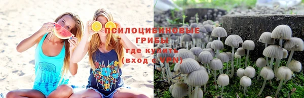 MDMA Premium VHQ Армянск